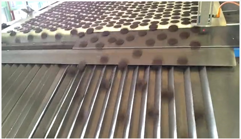 The Biscuit Chronicles: Crafting the Perfect Cookie from Dough to Delight