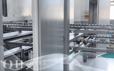 The Production Process of Biscuits via Professional Production Lines